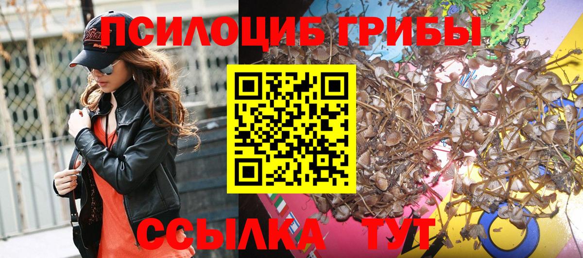 Галлюциногенные грибы Psilocybine cubensis Великие Луки